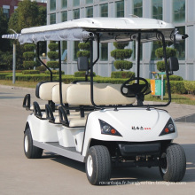 Voiturette de Golf électrique utilitaire voiture usine chinoise 6 places (DG-C6)